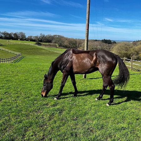 Byre - Farm Cottage On 9 Acre Equestrian Small Holding Salisbury Ngoại thất bức ảnh